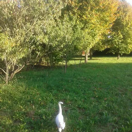 Al Parco Rucli
